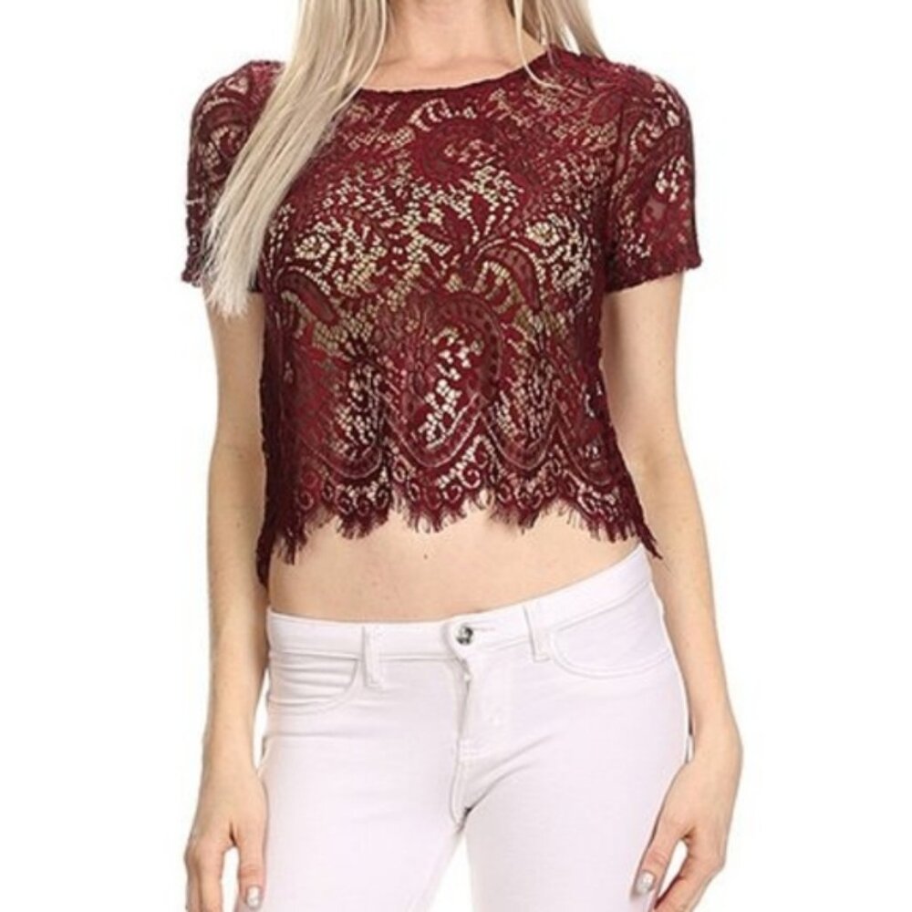 Streetwear Society Sheer Lace Crop Top Short Sleeve Scalloped Burgundy Medium